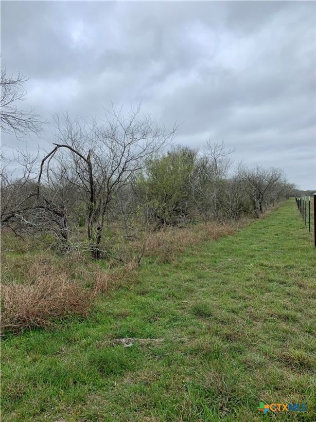 000 Pierce Rd, Home with 0 bedrooms, 0 bathrooms and null parking in Goliad TX | Image 12