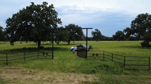 8234 County Road 201, Somerville, TX, 77879 | Card Image