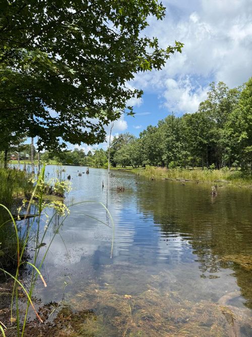 6 Greenfields Way N, Dunlap, TN, 37327 | Card Image