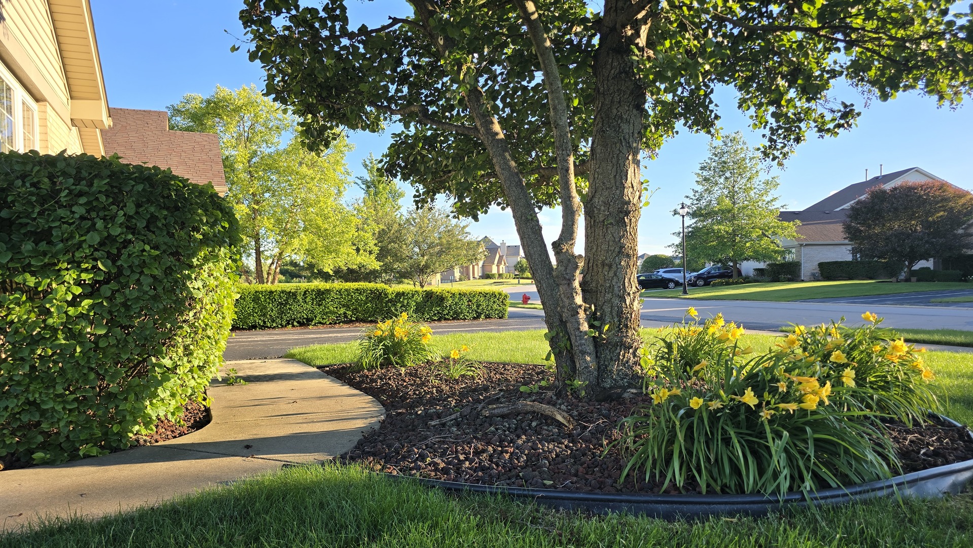 Residential in Tinley Park 2