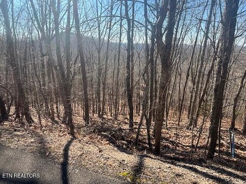 LOT 207 Laurel Mountain Rd, Madisonville, TN, 37354-6881 | Card Image