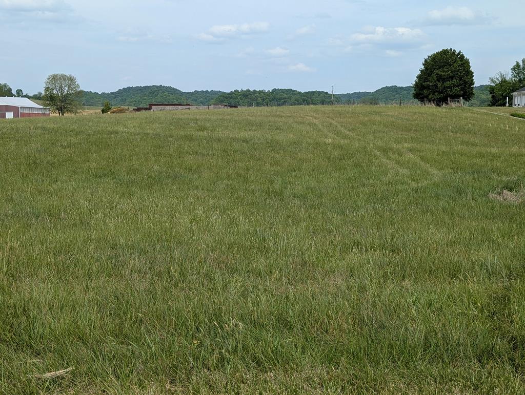 Land in Burkesville