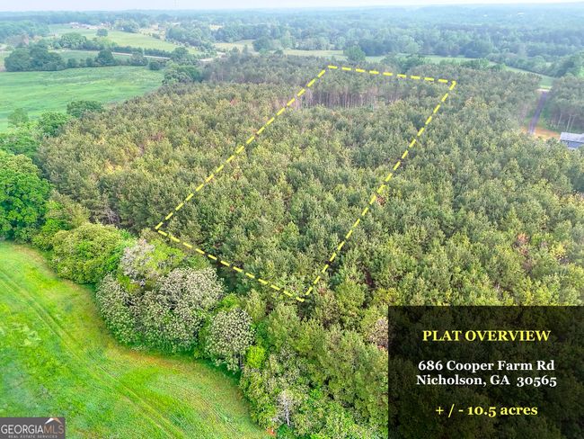 686 Cooper Farm Rd, Home with 0 bedrooms, 0 bathrooms and null parking in Nicholson GA | Image 4