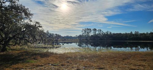 Lot 4 - 12.38ac E Hwy 318, CITRA, FL, 32113 | Card Image