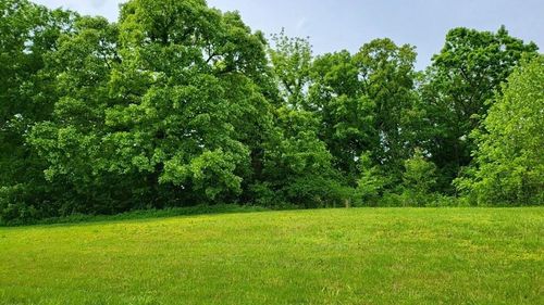 Lot 19 TBD Se Holstein Drive, Oak Grove, MO, 64075 | Card Image