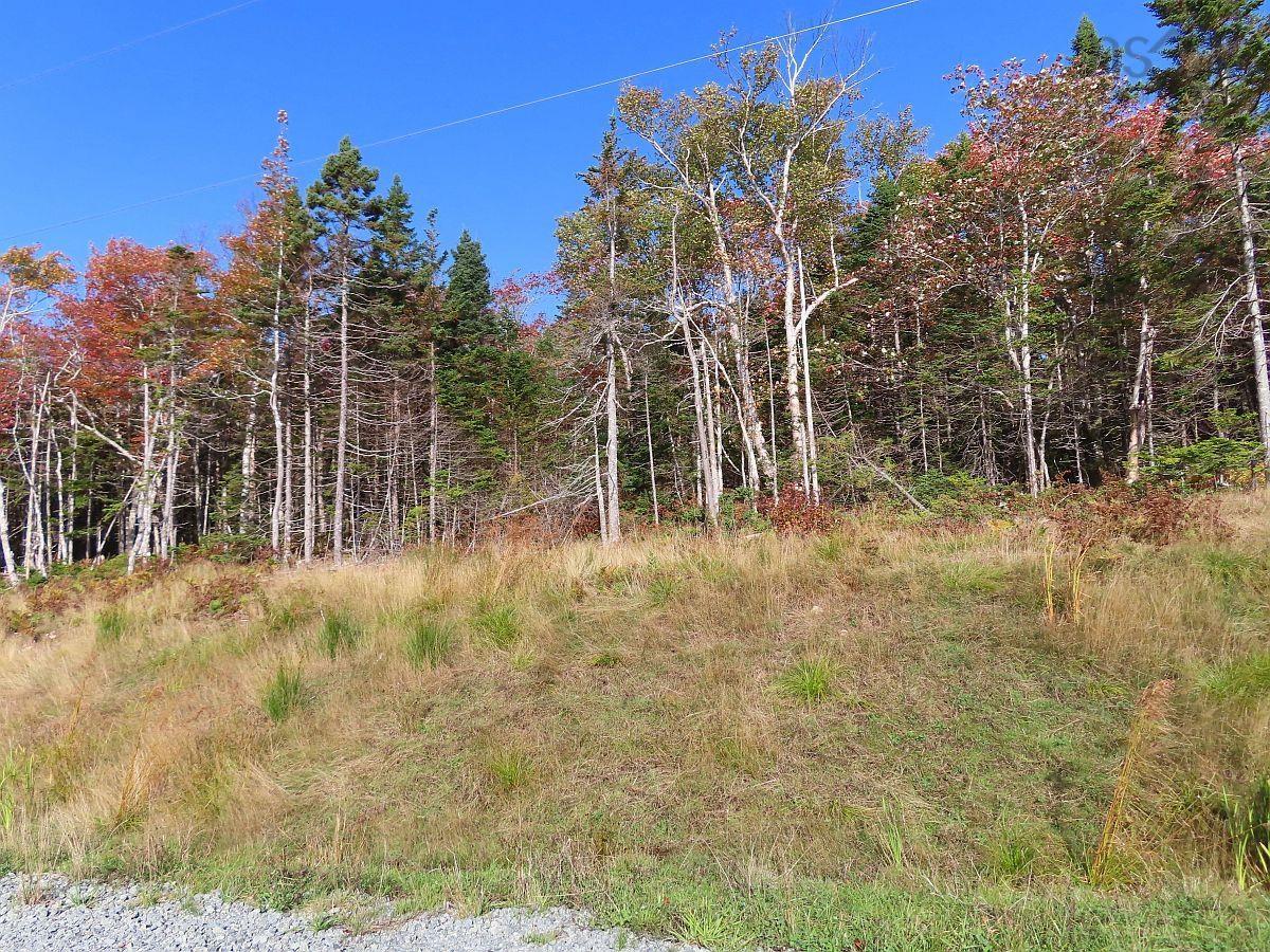Land in Lennox Passage 5