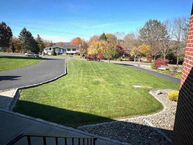 View of yard | Image 31