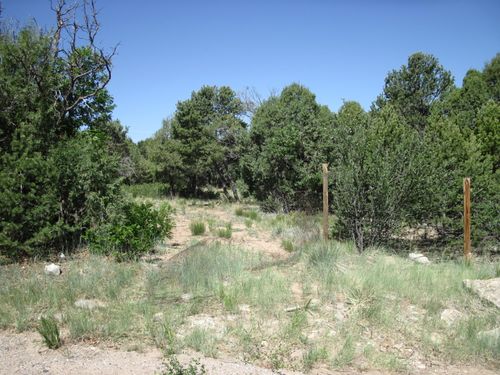 16 Roadrunner Rd, Tijeras, NM, 87059-8127 | Card Image