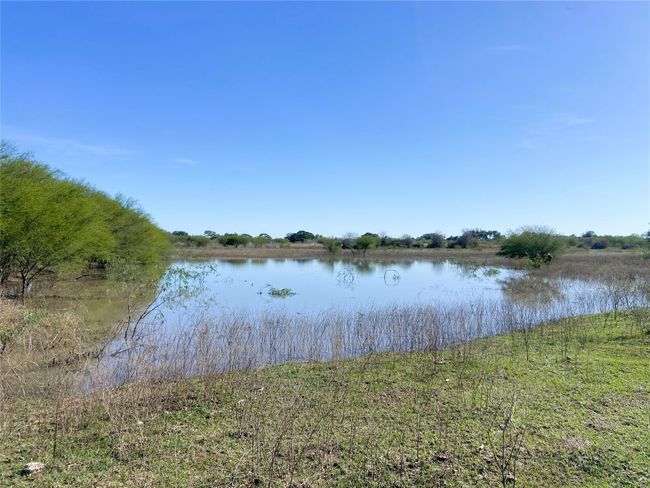 Northern big pond | Image 8