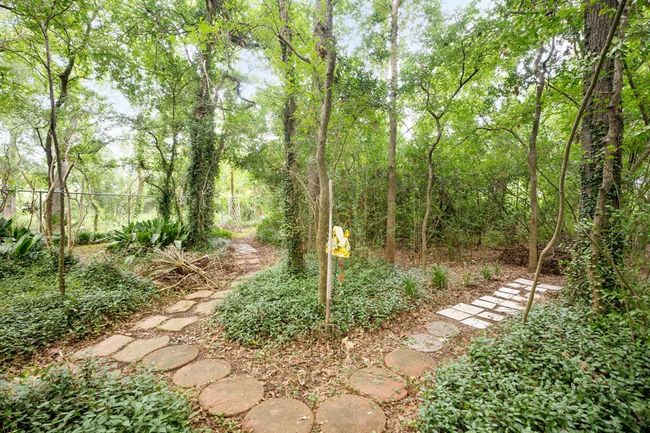 Yes - a literal forest in your fenced backyard with multiple walkways. | Image 35