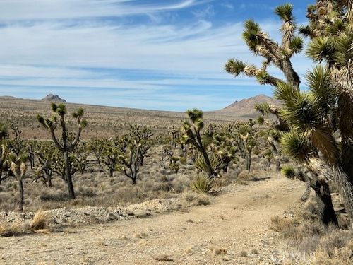 0 Street, Cima, CA, 92323 | Card Image