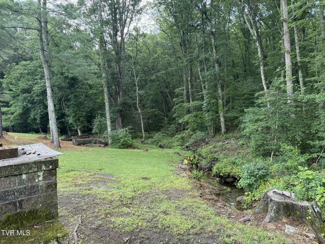 2818 Dungannon Rd, House other with 3 bedrooms, 2 bathrooms and null parking in Coeburn VA | Image 42
