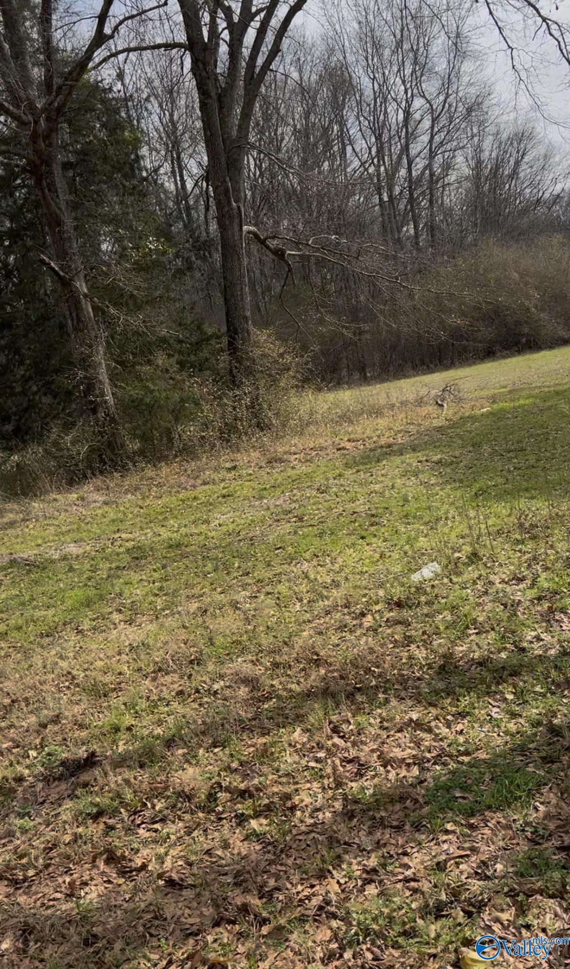 Land in Marion 3