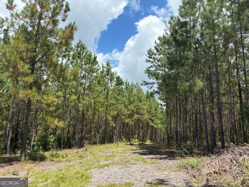 0 Black Creek Rd, GORDON, GA, 31031 | Card Image