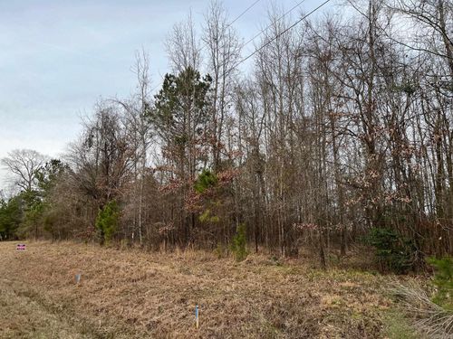 0 Brice Horton Rd, Delight, AR, 71940 | Card Image