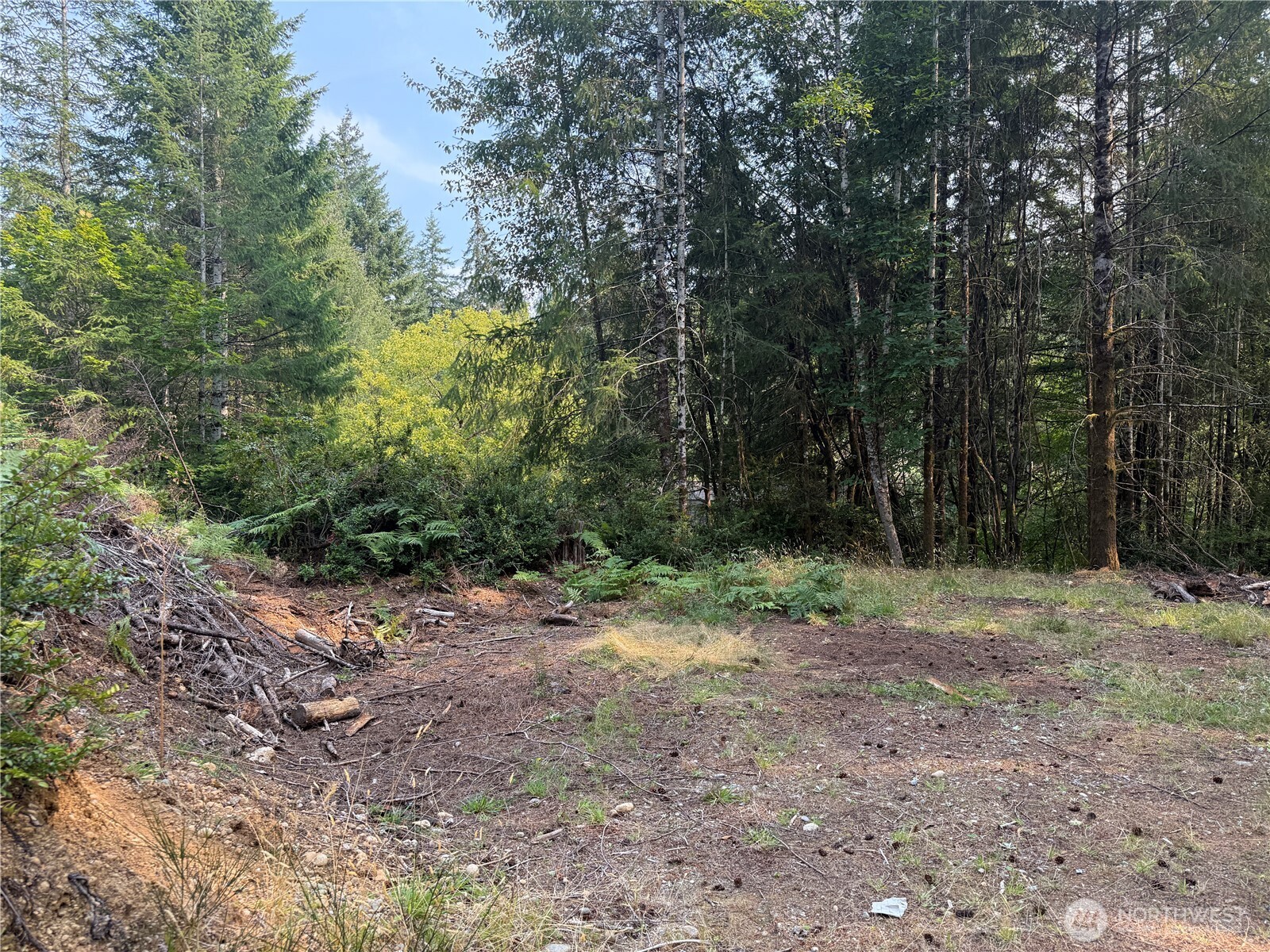 Land in Shelton 4