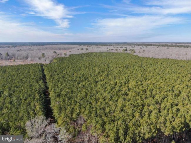 0 Follow Ditch Rd, Home with 0 bedrooms, 0 bathrooms and null parking in PRINCESS ANNE MD | Image 12