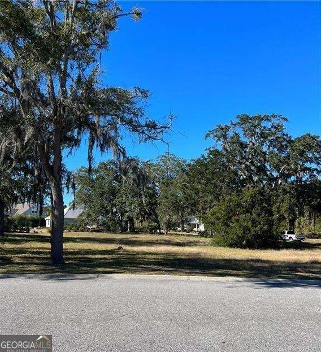 LOT 48 Maiden Creek Dr, Home with 0 bedrooms, 0 bathrooms and null parking in Waverly GA | Image 7