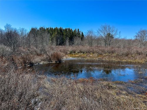 381 Dutch Hill Rd, Roscoe, NY, 12776-5514 | Card Image