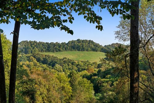 573 Happy Valley Rd, Bell Buckle, TN, 37020-4341 | Card Image