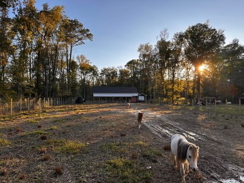 00 Sullivans Ferry Rd, Cottageville, SC, 29435 | Card Image