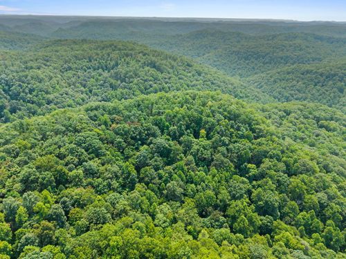 Lot 82, 300 Oak Hill Drive, Frenchburg, KY, 40322 | Card Image
