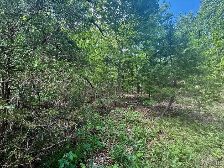 Land in Licking 3