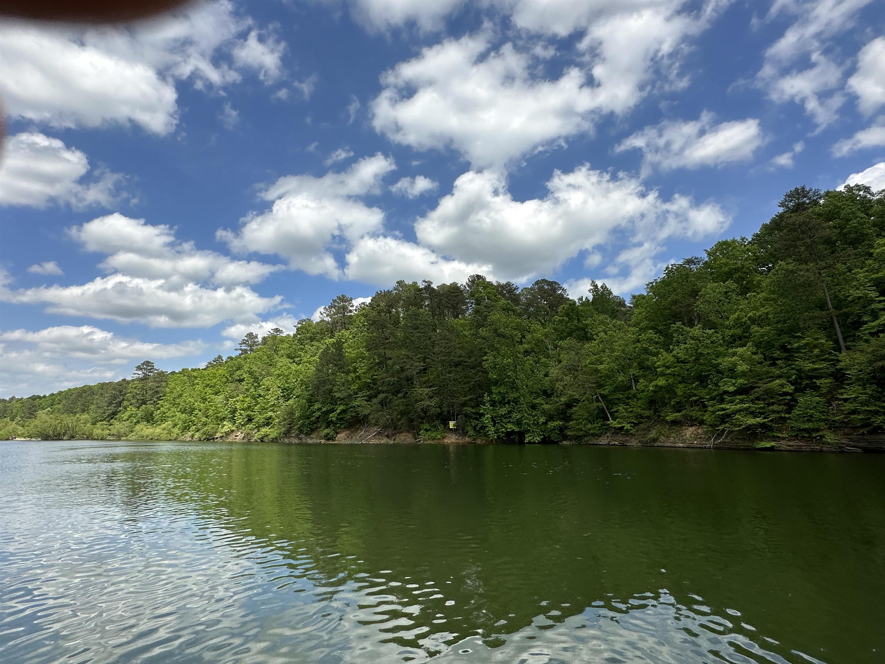 Land in Cullman 3