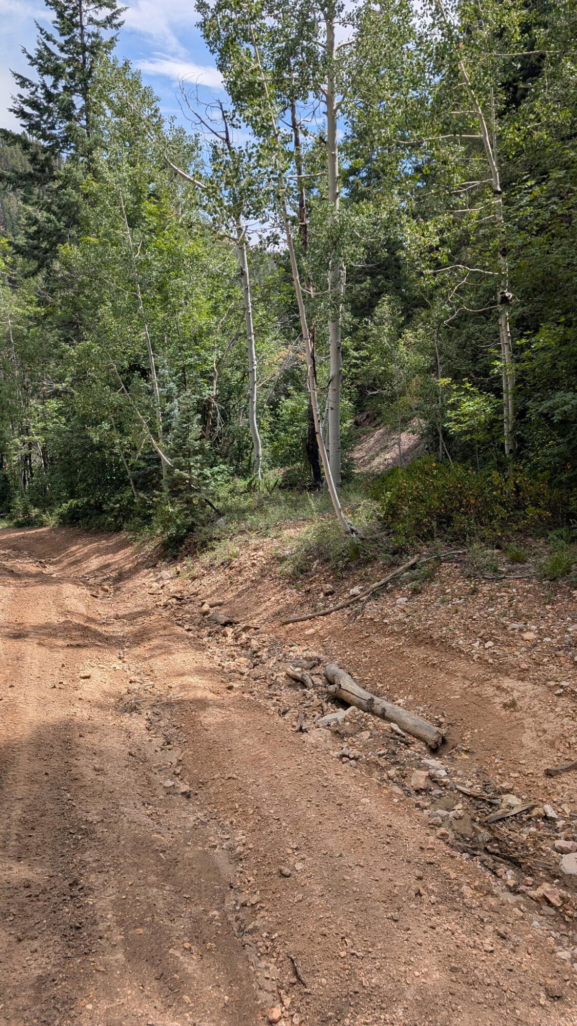 Land in Duck Creek Village 4