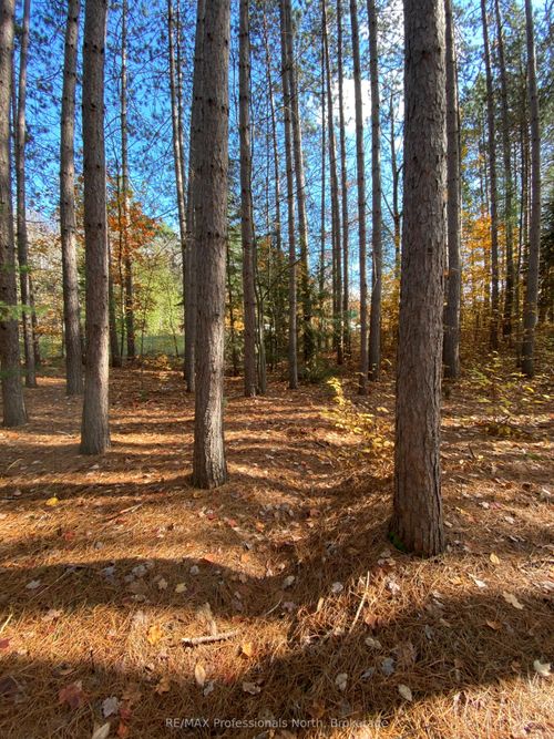 0 Maebar Rd, Minden, ON, K0M2K0 | Card Image