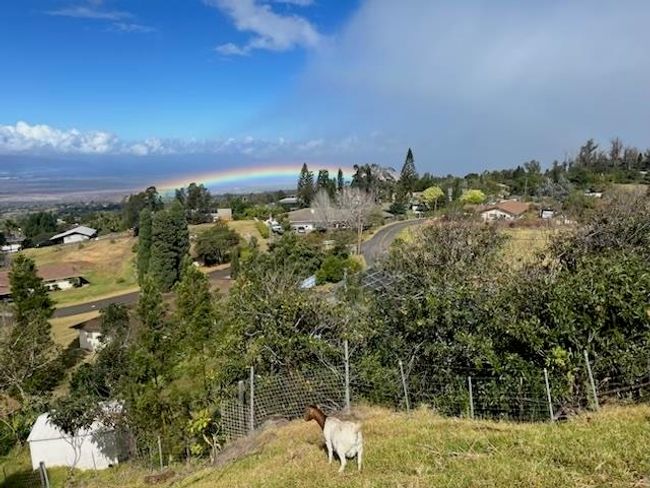 712 Upper Kimo Dr, House other with 3 bedrooms, 2 bathrooms and null parking in Kula HI | Image 30