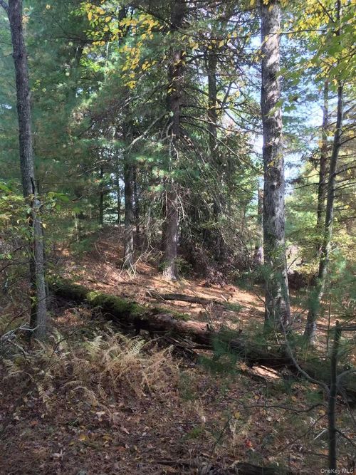 2 Renee Dr, Dingmans Ferry, PA, 18328 | Card Image
