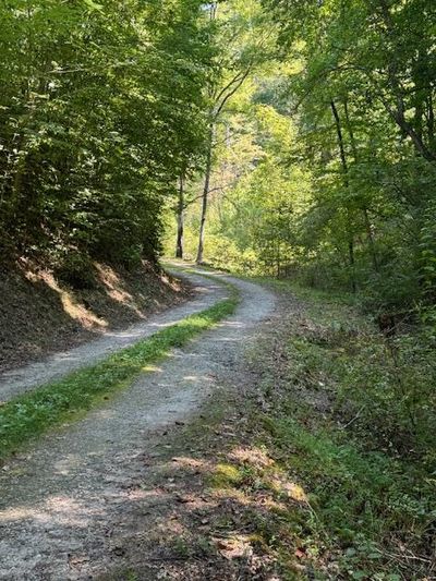 324 Scary Branch, House other with 4 bedrooms, 2 bathrooms and 1 parking in Bryson City NC | Image 1