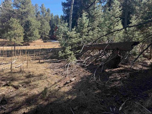 Lot 1031 Armijo Cir, Angel Fire, NM, 87710 | Card Image