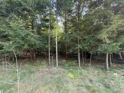 Lot 57 W Harbor Hwy, Maple City, MI, 49664-9503 | Card Image