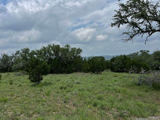 23 Lipan Apache Run, Home with 0 bedrooms, 0 bathrooms and null parking in Blanco TX | Image 6