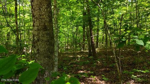 lot-37-Lot 37/38A T Crowe Rd, Soddy Daisy, TN, 37379-7308 | Card Image