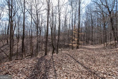 86.99 Acres Mincie Mountain, Murrayville, GA, 30564 | Card Image
