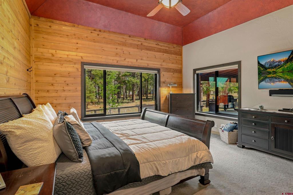 Residential in Pagosa Springs 2