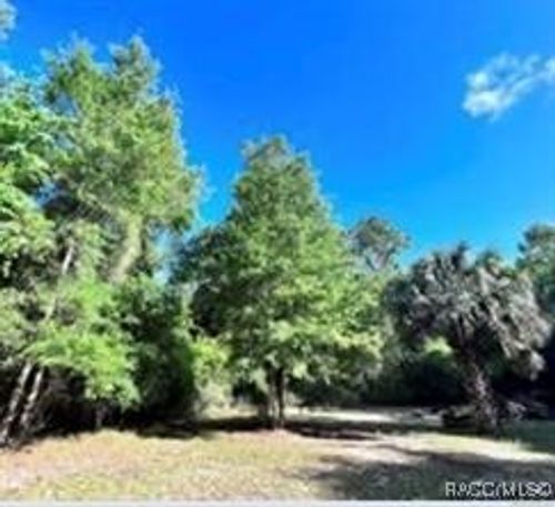 0 Highway 40, INGLIS, FL, 34449 | Card Image