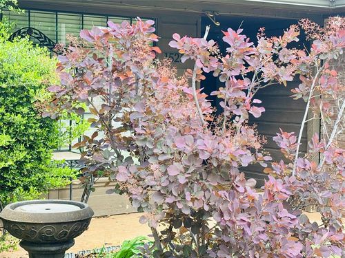 1525 Davinbrook Dr, Norman, OK, 73072-3110 | Card Image