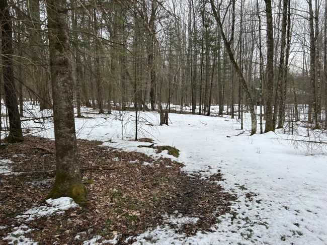 743 Woodlawn Rd, House other with 2 bedrooms, 1 bathrooms and null parking in Pickerel WI | Image 54
