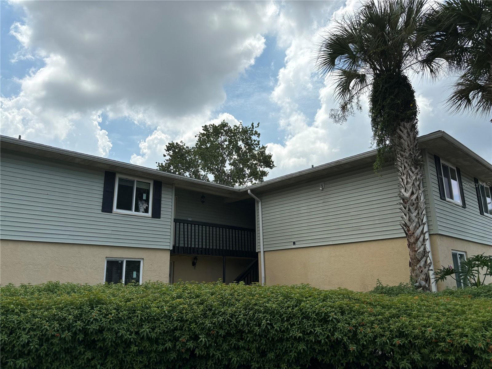 Thorn Tree Pl, Brandon, FL 33510