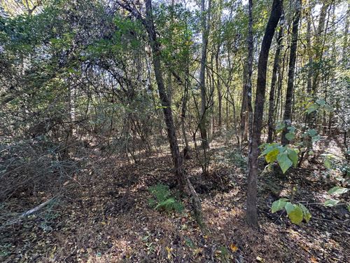 0 Willington Dr, Ridgeville, SC, 29472 | Card Image