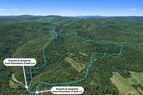 700Acres Puncheon Creek Lane, Allred, TN, 38542 | Card Image