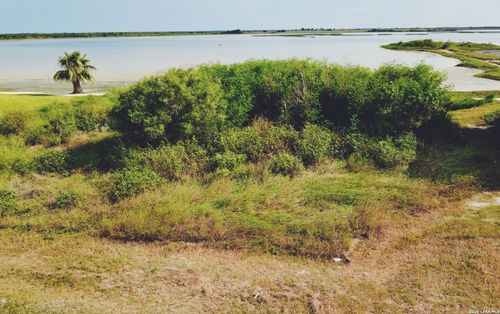 459 Egery Island Rd, Taft, TX, 78390-9600 | Card Image
