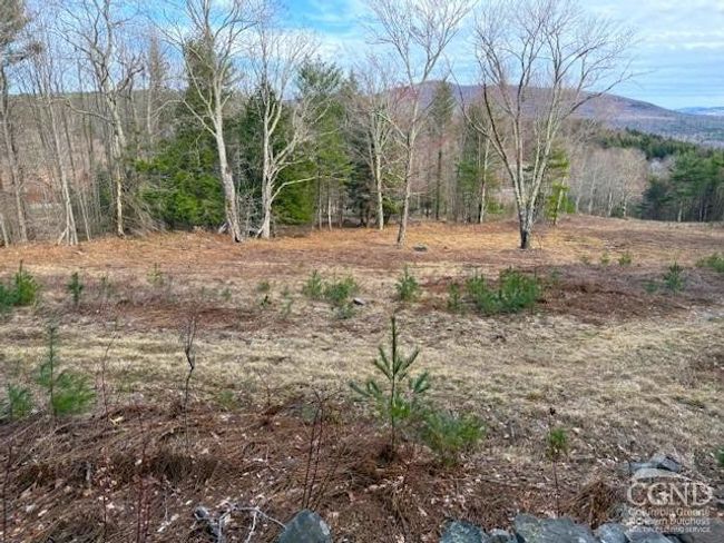 0 Campbell Rd, Home with 0 bedrooms, 0 bathrooms and null parking in Windham NY | Image 5
