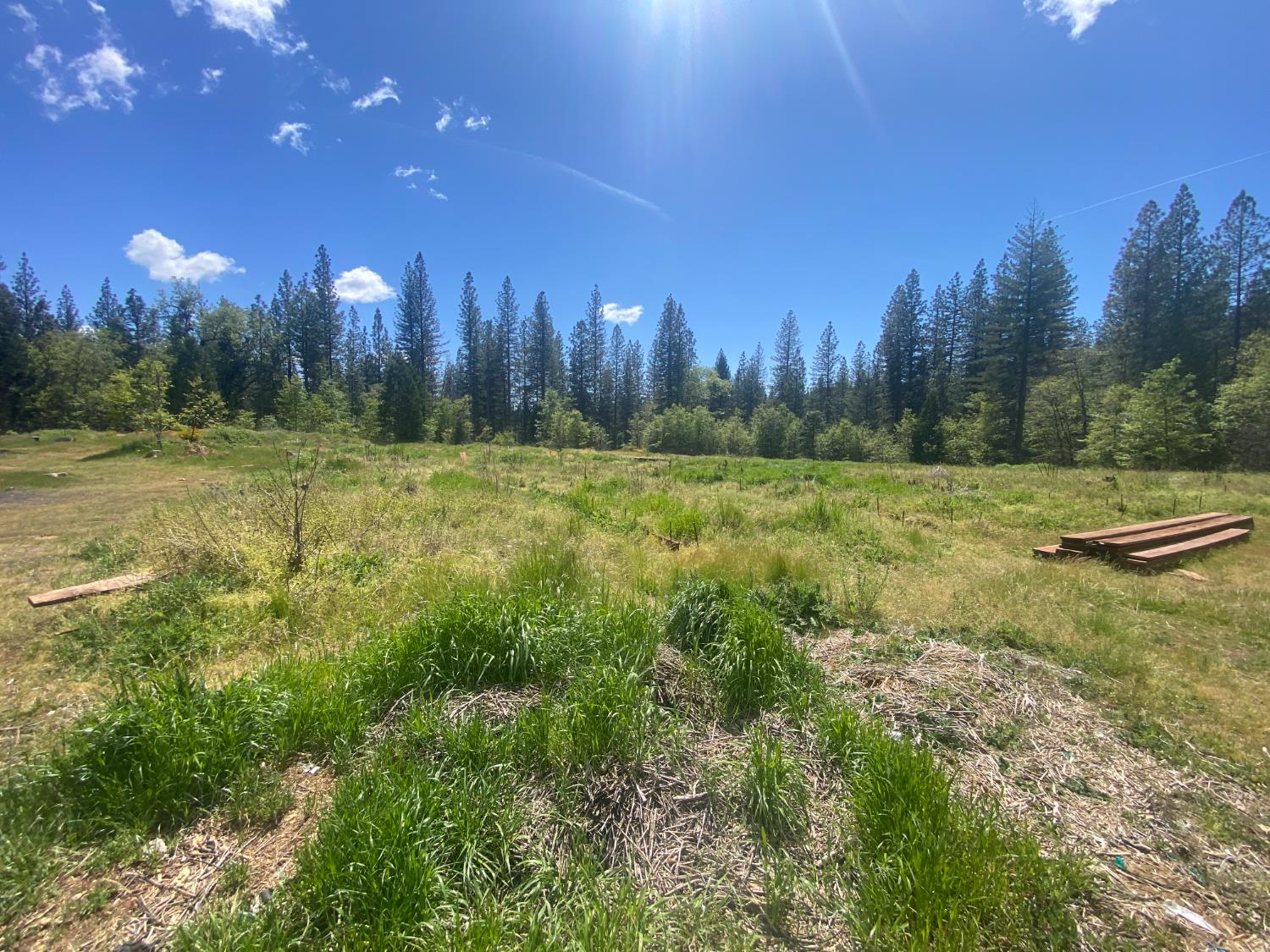 Land in Nevada City 5