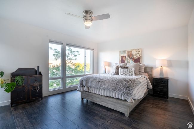 Large primary bedroom featuring dark wood-style floors and ceiling fan with lots of natural light | Image 17
