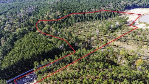 Lot 8 Big Buck Drive N, Moscow, TX, 75960 | Card Image